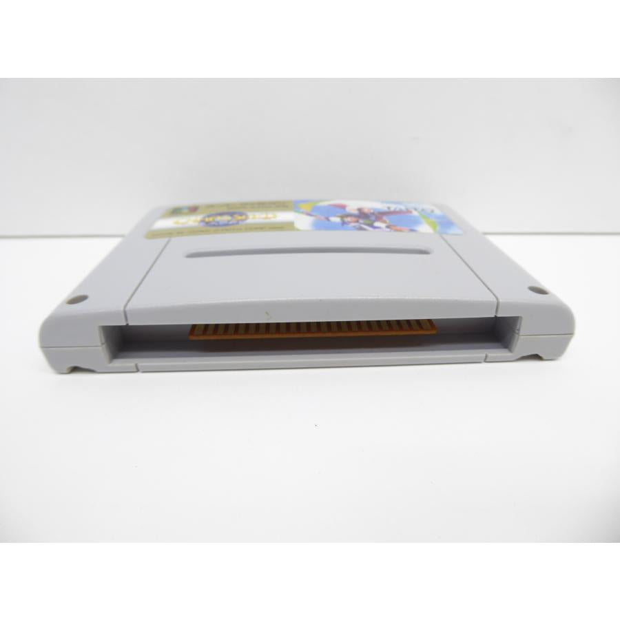 Super Famicom Chaos Seed Feng Shui Corridor Chronicle Software Game �¢WE1695