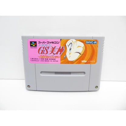 Super Famicom Ghost Sweeper Mikami Software Game �¢WE1699