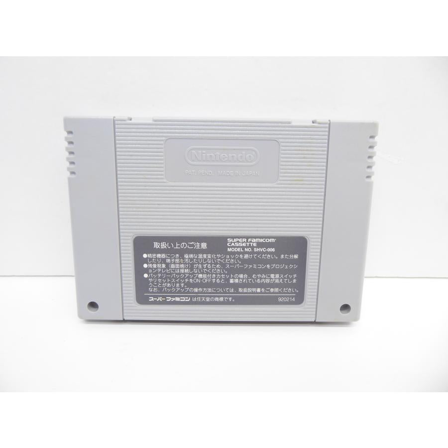 Super Famicom Ghost Sweeper Mikami Software Game �¢WE1699