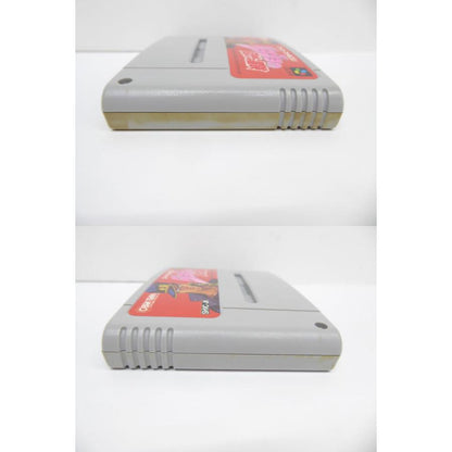 Super Famicom JoJo's Bizarre Adventure Software Game �¢WE1814