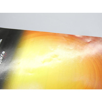 PlayStation 2 PS2 New Gouketsuji Ichizoku Worldly Desires Release Retro Game Software �¢WE2591